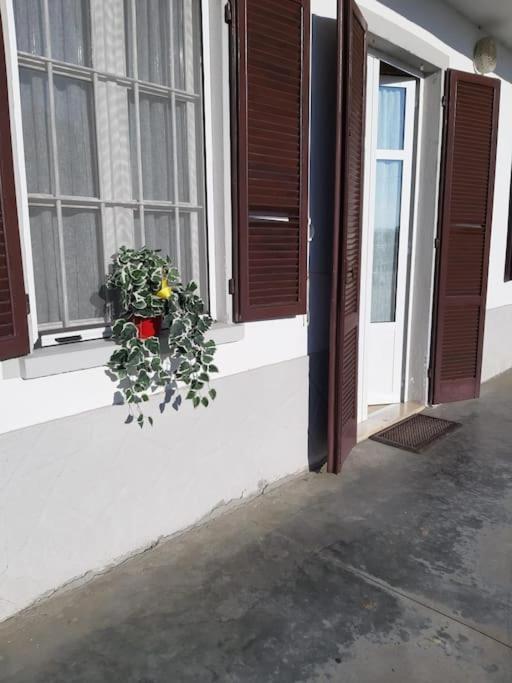 Casa Bruna San Martino Alfieri Exterior foto
